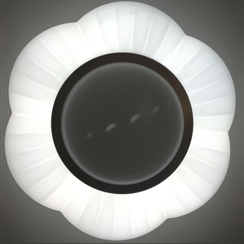 Led ceiling light CC-CLR066