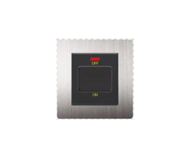 20A DP Switch